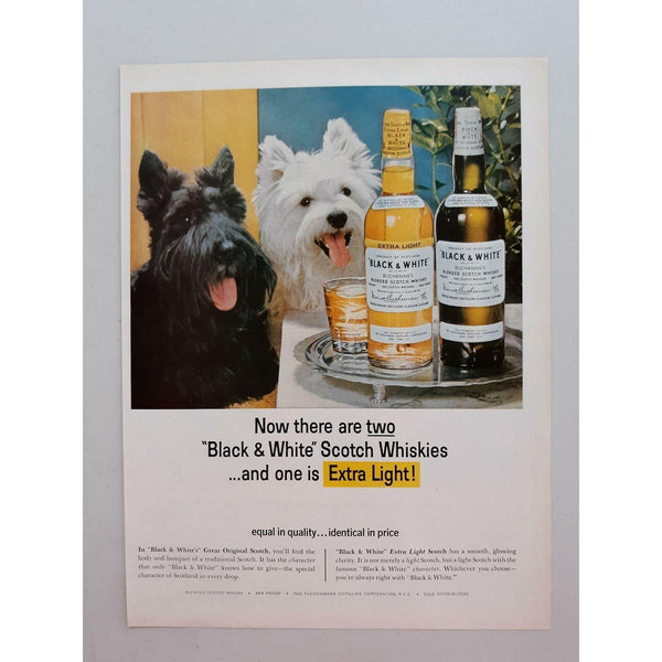 1964 Black & White Scotch Whisky Scottie Westie Dogs Vtg Magazine Print Ad